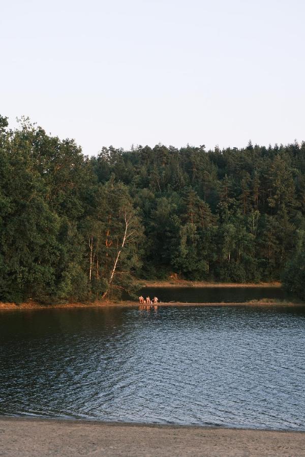 Lodge Avec Spa Privatif - Foret Et Lac Liginiac Bagian luar foto