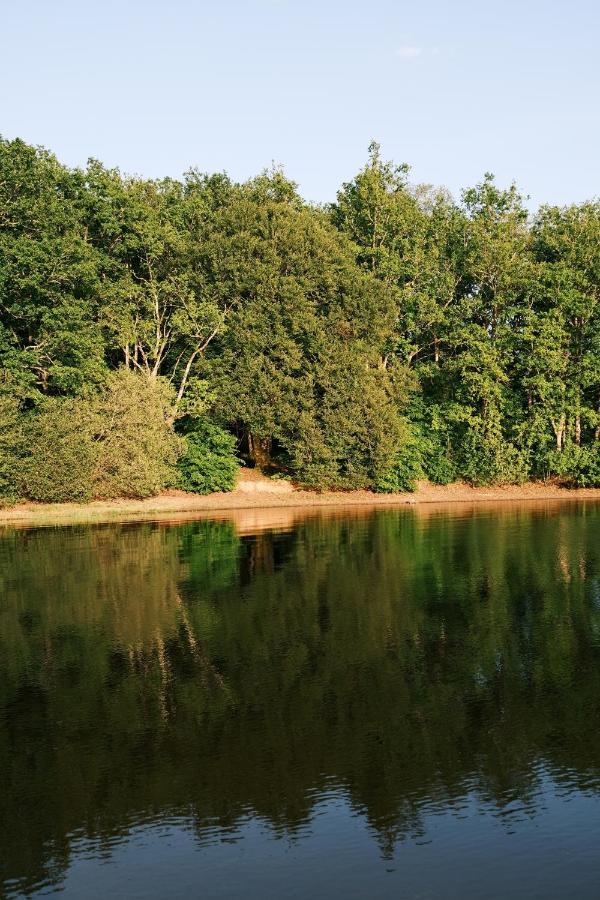 Lodge Avec Spa Privatif - Foret Et Lac Liginiac Bagian luar foto
