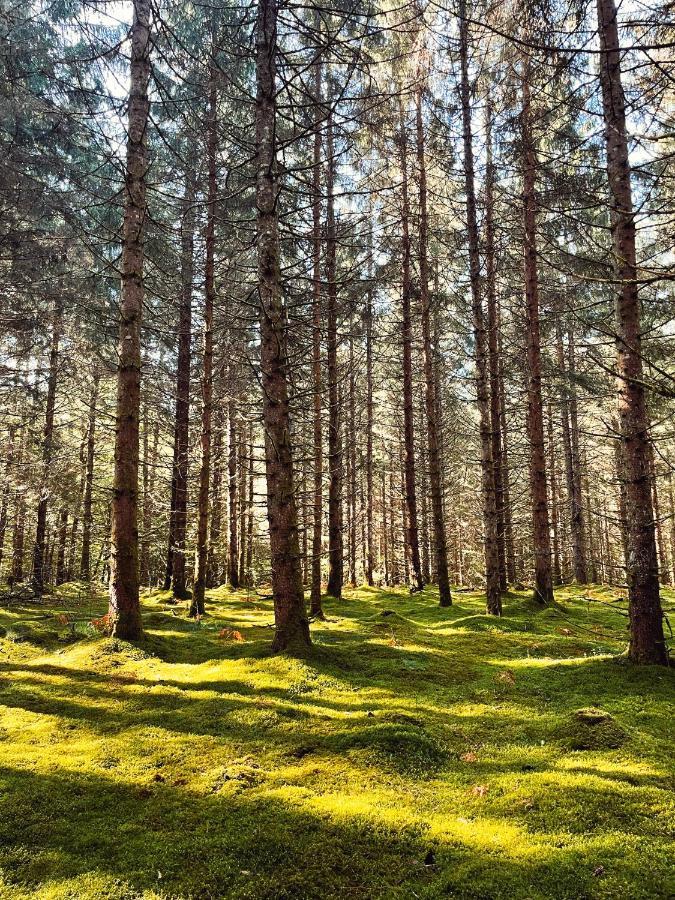 Lodge Avec Spa Privatif - Foret Et Lac Liginiac Bagian luar foto