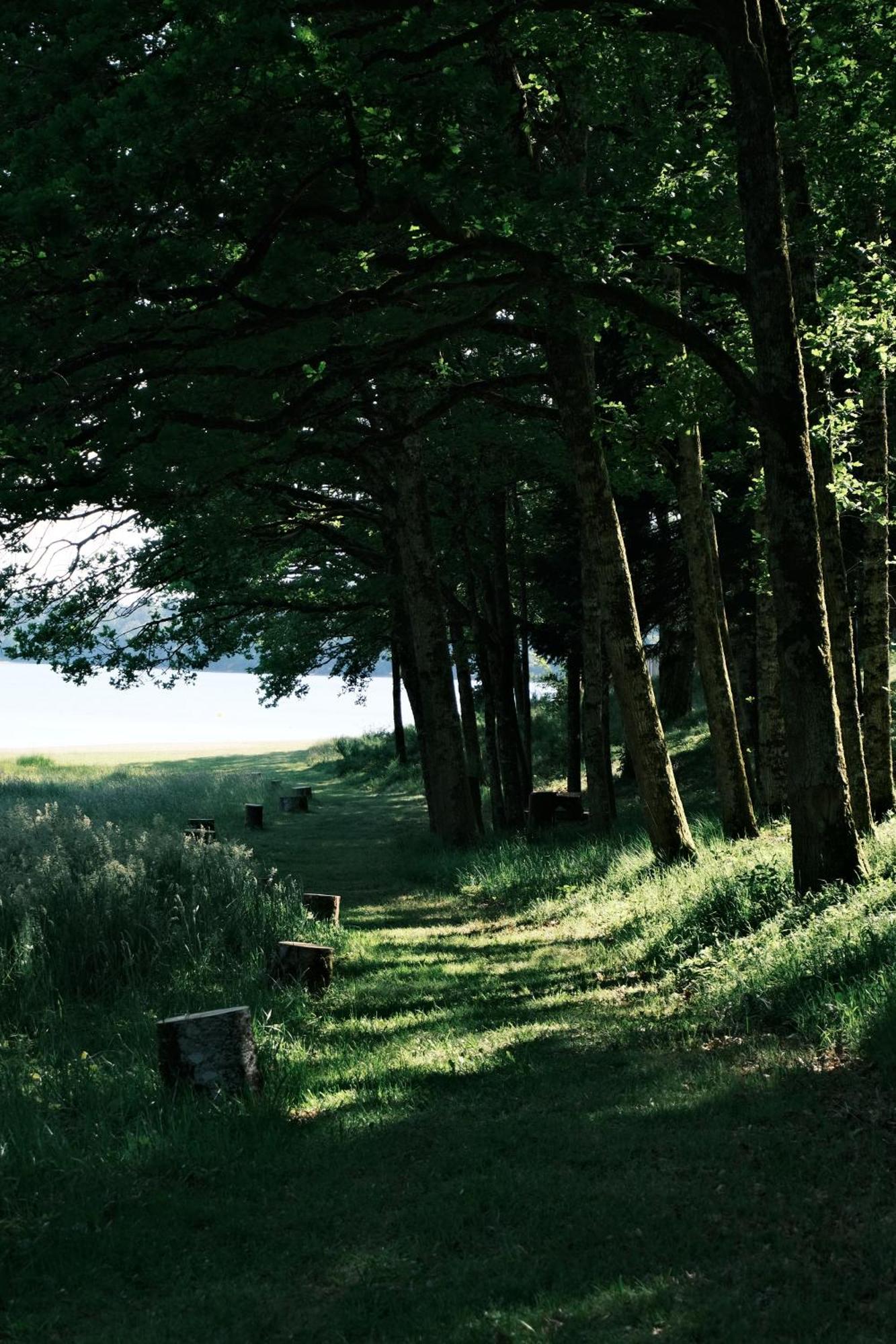 Lodge Avec Spa Privatif - Foret Et Lac Liginiac Bagian luar foto