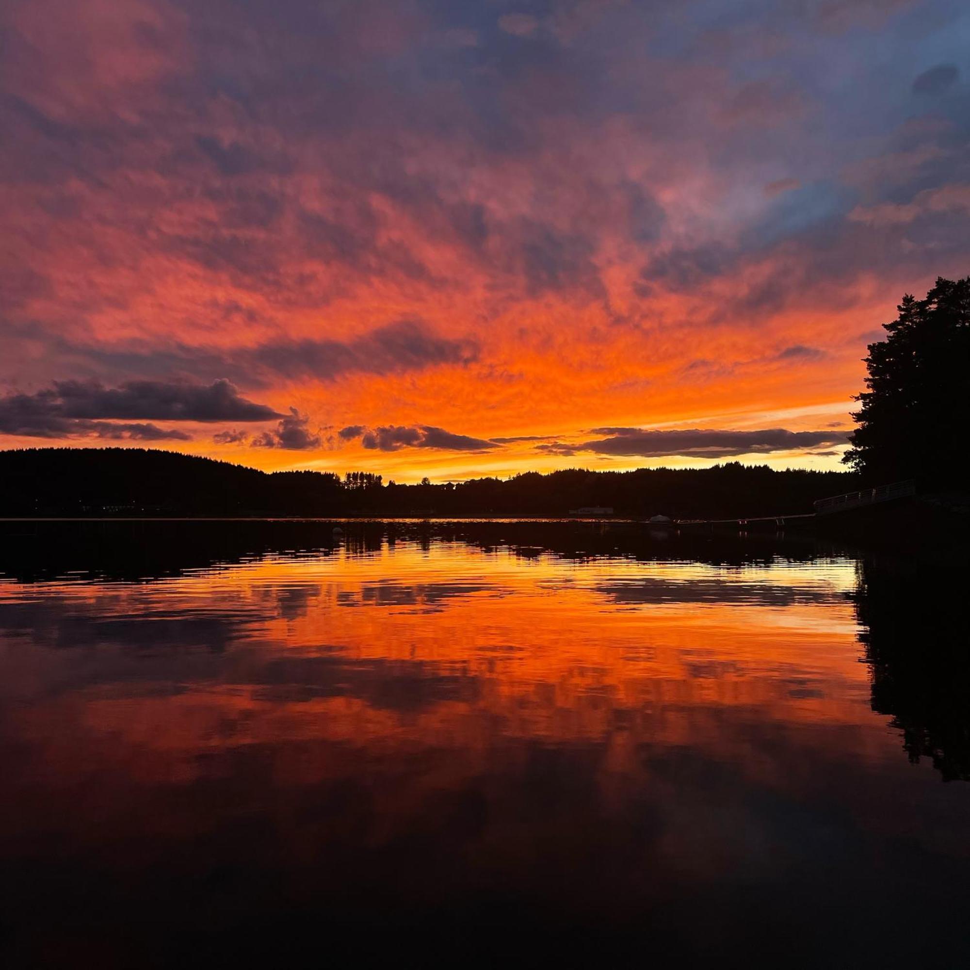 Lodge Avec Spa Privatif - Foret Et Lac Liginiac Bagian luar foto