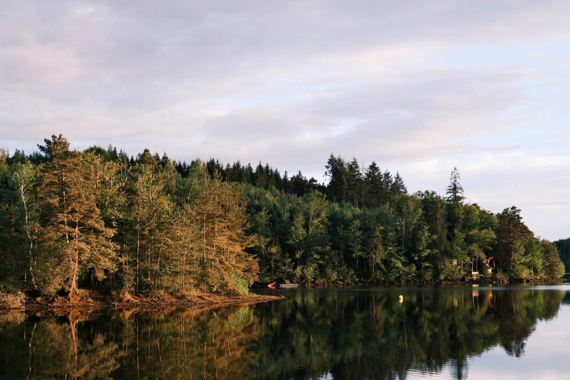 Lodge Avec Spa Privatif - Foret Et Lac Liginiac Bagian luar foto